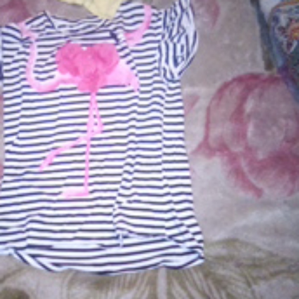 A flamingo t-shirt
